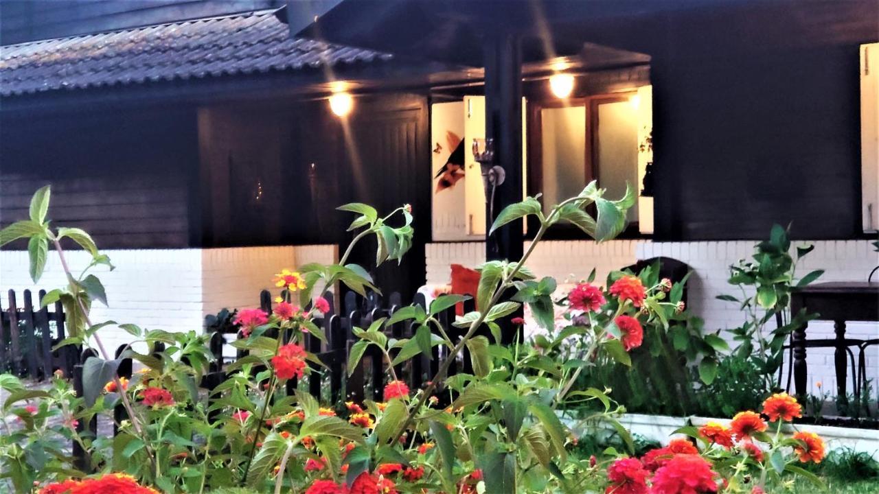 Slow House Y La Cabana De Miss Slower Nigran Exterior photo